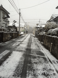 降雪による影響について チャイルドシート・ベビー用品クリーニング 降雪状況 ヒューマンライズ 鹿児島市 降雪による影響について チャイルドシート・ベビー用品クリーニング 降雪状況 ヒューマンライズ 鹿児島市