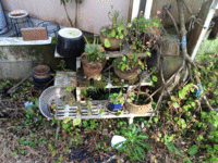 戸建まるごとクリーニングとゴミ処分サービス 鹿児島市 庭の植木鉢類ゴミ分別処分 ヒューマンライズ 戸建まるごとクリーニングとゴミ処分サービス 鹿児島市 庭の植木鉢類ゴミ分別処分 ヒューマンライズ