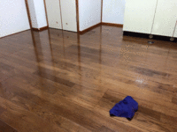 遺品整理ゴミ処分とハウスクリーニングを行いました。鹿児島市伊敷方面　フローリング洗浄完了