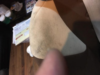 シートンカビ汚れ② チャイルドシートオーガニッククリーニング カビについて。 鹿児島市 (株)ヒューマンライズ ベビーズリッチ/baby's rich シートンカビ汚れ② チャイルドシートオーガニッククリーニング カビについて。 鹿児島市 (株)ヒューマンライズ ベビーズリッチ/baby's rich