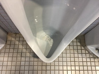 高校・中学校・小学校併設 全トイレ便器 尿石除去消臭サービス 小便器尿石除去完了① 鹿児島市西別府町 方面 高校・中学校・小学校併設 全トイレ便器 尿石除去消臭サービス 小便器尿石除去完了① 鹿児島市西別府町 方面