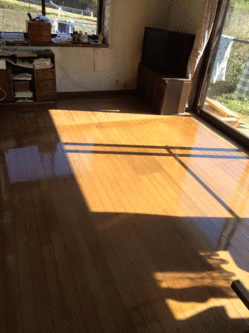 消臭サービス事例 伊集院 ペット・アンモニア臭 除菌・消臭サービス 鹿児島市(株)ヒューマンライズ 消臭サービス事例 伊集院 ペット・アンモニア臭 除菌・消臭サービス 鹿児島市(株)ヒューマンライズ
